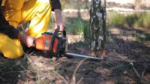 Best Weed Control  in Sterling, CO