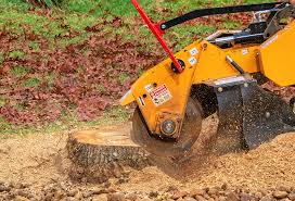 Best Utility Line Clearance  in Sterling, CO