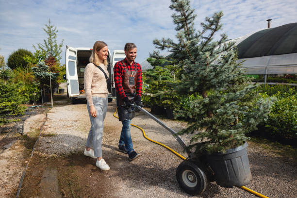 Lawn Watering Services in Sterling, CO